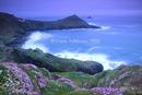 porthledden and the cape, south-westerly blowing in 